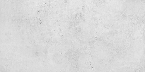 Bergen White light 30x60 GL221.A połysk G.1 - płytka ścienna