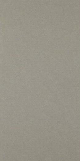 CONCEPT CN 13 CIEMNY SZARY 30x60 Poler G.1 - cena za 1m2