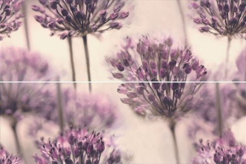 Dekor Flint DANDELION 2x(25x75) Dekor Flint DANDELION 2x(25x75)