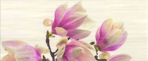 Dekor Sensa Magnolia BIS 25x60 Dekor Sensa Magnolia BIS 25x60