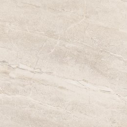 Gres DYNA Silver 60x60 G.1 matowy rektyfikowany