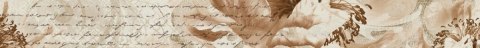 Listwa Fossili Flower 5,5x60 G.1 Listwa Fossili Flower 5,5x60 G.1