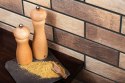 Loft Brick masala 24,5x6,5 - elewacja - cena za 1m2