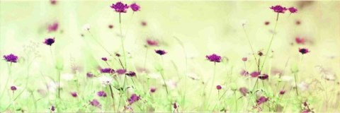 Luna SPRING Dekor 25x75 Luna SPRING Dekor 25x75