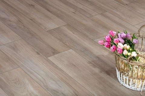 Mattina beige 20x120 gres rektyfik G.1 - cena za 1m2 Mattina beige 20x120 gres rektyfik G.1 - cena za 1m2