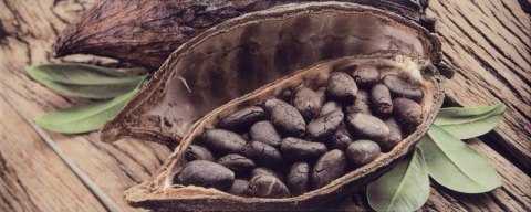 Płytka dekoracyjna Felicia 2 inserto 20x50 G.1 Płytka dekoracyjna Felicia 2 inserto 20x50 G.1