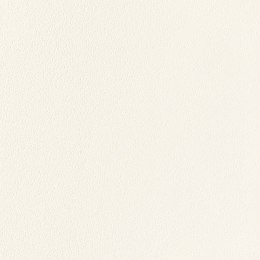 Płytka podłogowa All in white White 59.8x59.8 G.1