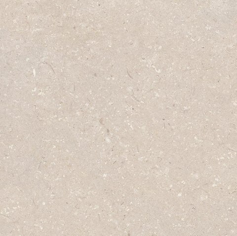 Porcelanosa Coral Caliza 80x80 G.1-płytka podłoga rektyfik