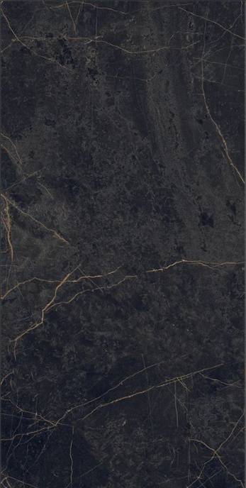 Ariana Epoque Black 60x120 G.1 natura rektyfikowany Ariana Epoque Black 60x120 G.1 natura rektyfikowany